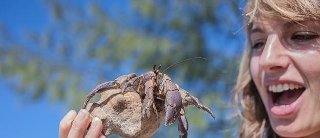 Zanzibar Blue Safari - crab