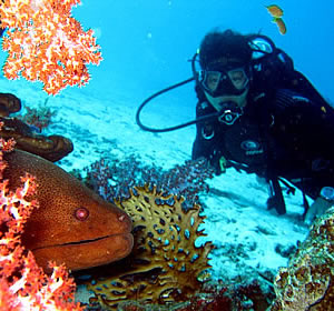 Divers in Zanzibar Divers in Zanzibar