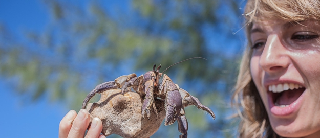 Zanzibar Safari blue - crab