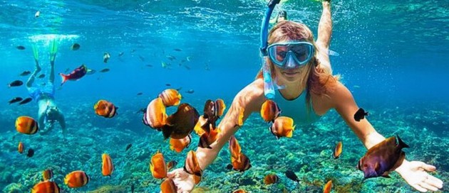 Zanzibar snorkeling main image