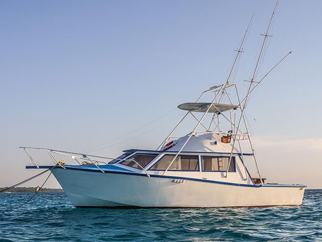 fishing zanzibar - baloo