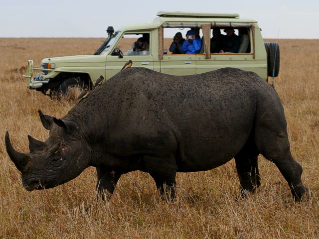 Zanzibar Safari Packages